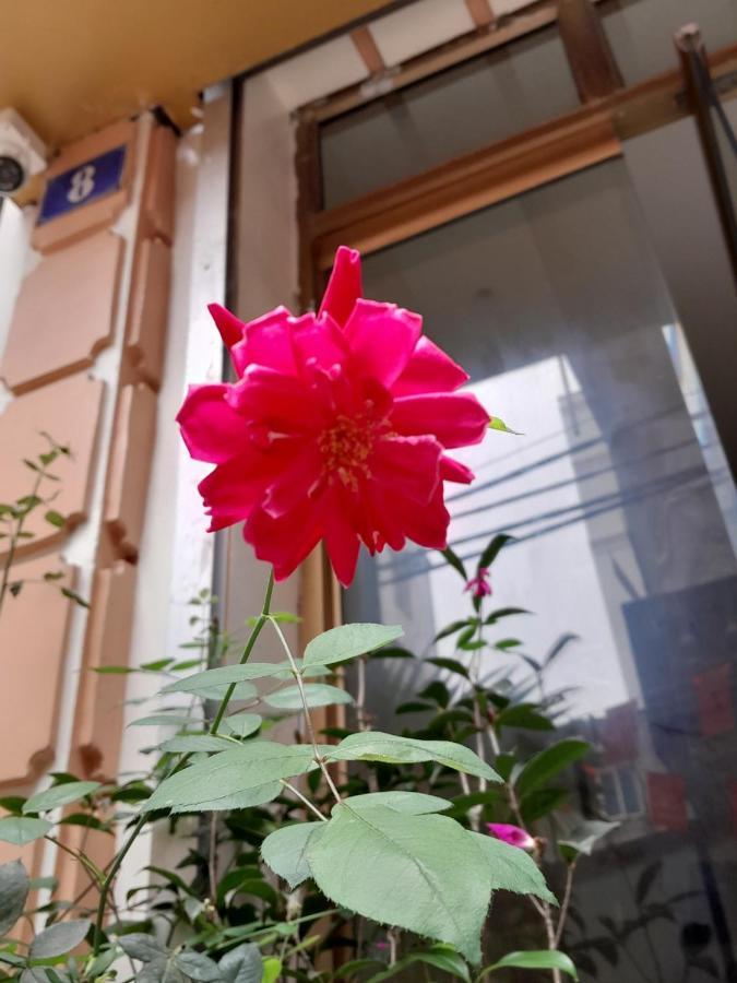Phuc An Hostel Dong Khe Sau 外观 照片
